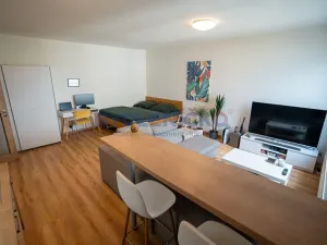 Prodej bytu 1+kk, České Budějovice, České Vrbné, 45 m2