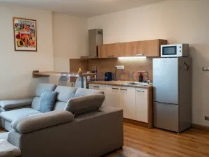 Prodej bytu 1+kk, České Budějovice, České Vrbné, 45 m2