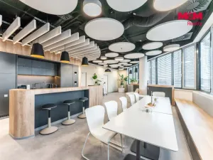 Pronájem komerční nemovitosti, Praha, Jihlavská, 25 m2