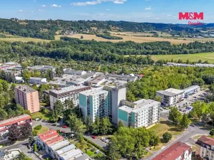 Prodej bytu 1+kk, Mariánské Lázně - Úšovice, Havlíčkova, 25 m2