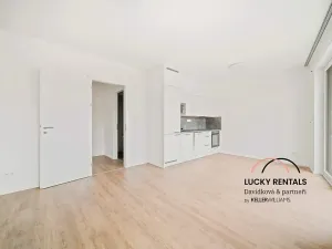 Pronájem bytu 1+kk, Praha - Chodov, Horynova, 32 m2