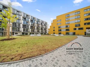 Pronájem bytu 1+kk, Praha - Chodov, Horynova, 32 m2