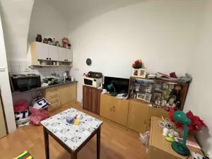 Prodej bytu 1+kk, Jihlava, Havířská, 18 m2