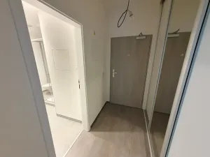 Pronájem bytu 1+kk, Praha - Vysočany, Pod Harfou, 45 m2