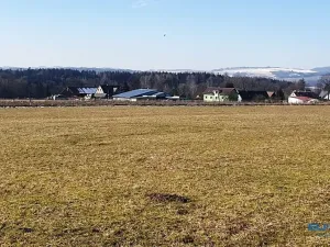 Prodej louky, Police nad Metují, 2213 m2