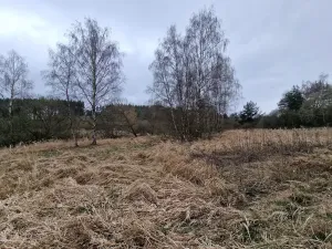 Prodej podílu pozemku pro bydlení, Bělčice, 34980 m2