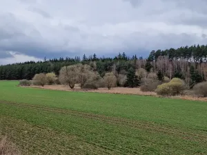 Prodej podílu pozemku pro bydlení, Bělčice, 34980 m2