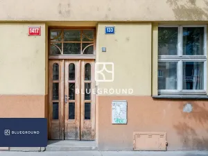 Pronájem bytu 3+kk, Praha - Žižkov, Vinohradská, 90 m2