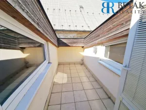 Prodej rodinného domu, Olomouc, Uhelná, 300 m2