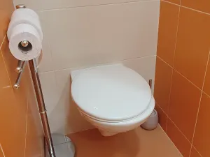 Pronájem bytu 1+1, Liberec, Borový vrch, 39 m2