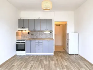 Pronájem bytu 1+kk, Písek, 17. listopadu, 19 m2