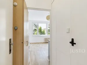 Pronájem bytu 1+kk, Písek, 17. listopadu, 19 m2