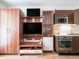 Prodej bytu 1+kk, Břeclav, J. Palacha, 27 m2