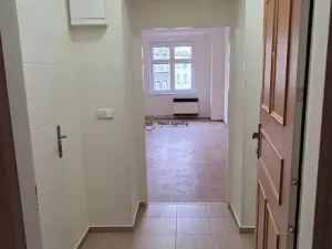 Pronájem bytu 1+1, Praha - Nusle, Na Jezerce, 49 m2