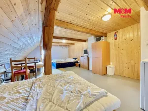 Prodej chalupy, Staré Město - Stříbrnice, 330 m2