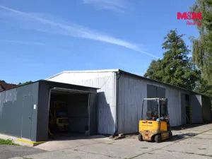 Prodej výrobních prostor, Miletín, Lhotova, 22000 m2