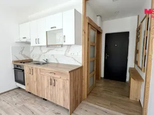 Pronájem bytu 1+1, Louny, Slovenského národního povstání, 38 m2
