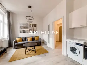 Pronájem bytu 1+kk, Praha - Karlín, Urxova, 30 m2