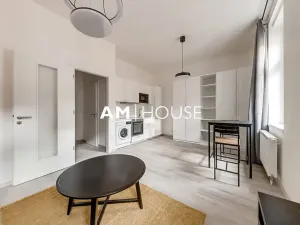 Pronájem bytu 1+kk, Praha - Karlín, Urxova, 30 m2
