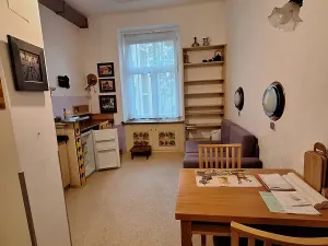 Pronájem bytu 1+kk, Praha - Žižkov, Ondříčkova, 18 m2