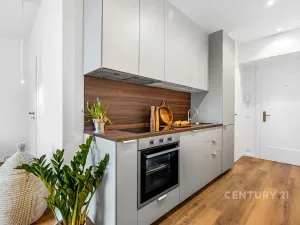 Pronájem bytu 1+kk, Praha - Žižkov, Jeseniova, 28 m2
