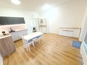 Pronájem bytu 1+kk, Beroun, U Židovského hřbitova, 46 m2