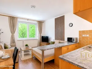 Pronájem bytu 1+kk, Dobšice, V Zahradách, 28 m2