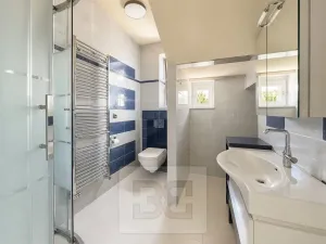 Pronájem rodinného domu, Brno, Březinova, 362 m2