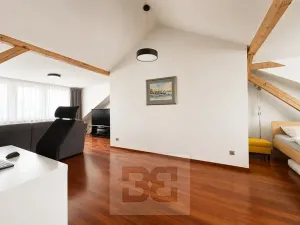 Pronájem rodinného domu, Brno, Březinova, 362 m2