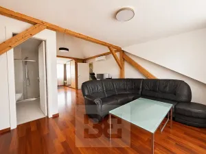 Pronájem vily, Brno, Březinova, 362 m2