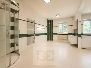 Pronájem vily, Brno, Březinova, 362 m2