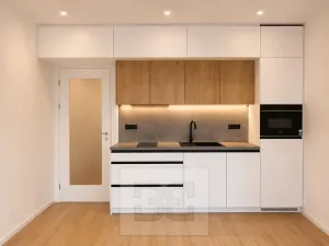 Pronájem bytu 1+kk, Brno, Pod Kavkami, 30 m2