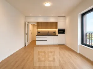 Pronájem bytu 1+kk, Brno, Pod Kavkami, 30 m2