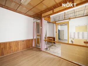 Prodej bytu 4+kk, Benátky nad Jizerou, Vaněčkova, 410 m2