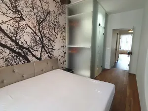 Pronájem bytu 2+kk, Praha - Vršovice, Orelská, 49 m2