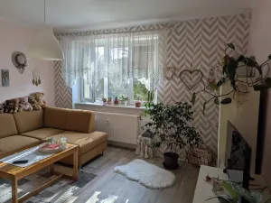 Pronájem bytu 1+1, Opava, Hany Kvapilové, 38 m2