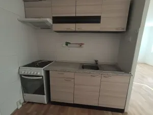 Prodej bytu 1+kk, Duchcov, V Domkách, 34 m2