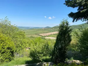 Prodej pozemku pro bydlení, Malíč, Knobloška, 931 m2