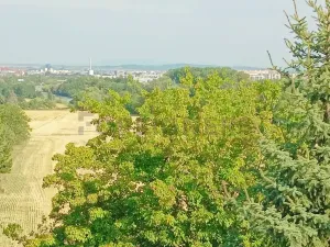 Pronájem bytu 1+1, Křelov-Břuchotín, Zahradní, 45 m2
