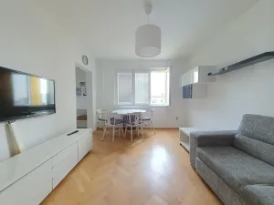 Pronájem bytu 2+1, Praha - Záběhlice, Sasanková, 52 m2