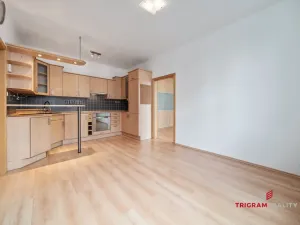 Prodej bytu 2+kk, Hradec Králové - Pražské Předměstí, Horova, 48 m2