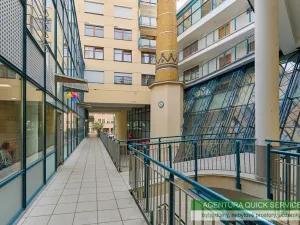 Prodej bytu 2+kk, Praha - Vinohrady, Chrudimská, 113 m2