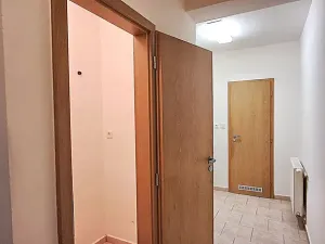 Pronájem bytu 1+kk, Chyňava, Za Humny, 26 m2
