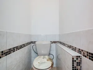 Pronájem bytu 2+1, Ostrava, Tylova, 58 m2
