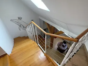 Pronájem bytu 5+kk, Praha - Vinohrady, Mánesova, 300 m2