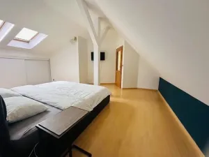 Pronájem bytu 5+kk, Praha - Vinohrady, Mánesova, 300 m2