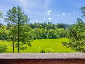 Prodej chalupy, Leština, 130 m2
