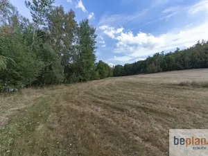 Prodej pozemku pro bydlení, Merklín, 1080 m2