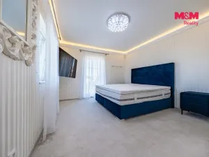 Prodej obchodního prostoru, Šestajovice, U Váhy, 356 m2