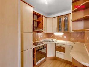 Prodej bytu 1+kk, Beroun - Beroun-Město, U Židovského hřbitova, 41 m2